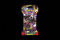 Pokémon Buio Pesto – sfondo nero